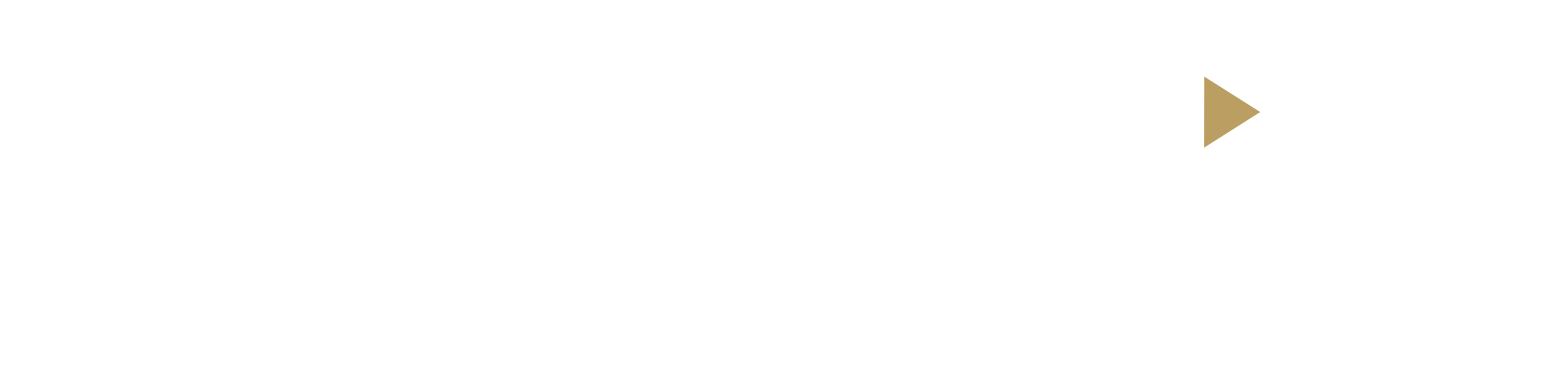 logo light